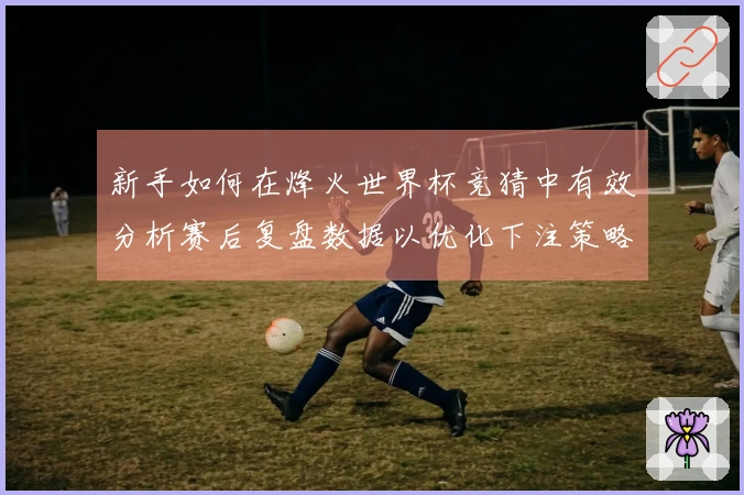 新手如何在烽火世界杯竞猜中有效分析赛后复盘数据以优化下注策略