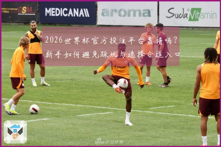 2026世界杯官方投注平台靠谱吗？新手如何避免踩坑与选择合适入口