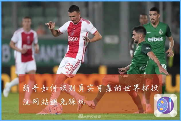 新手如何识别真实可靠的世界杯投注网站避免踩坑